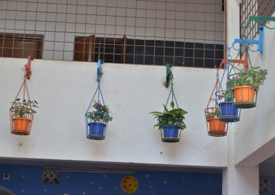 Hanging garden setup in School